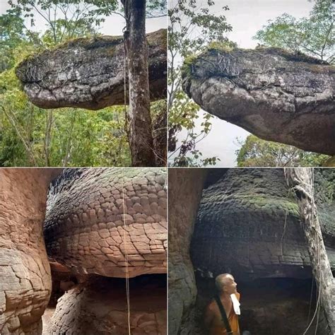 cave in thailand that looks like a snake|The Ultimate Guide To Naka Cave, Thailand: All You。